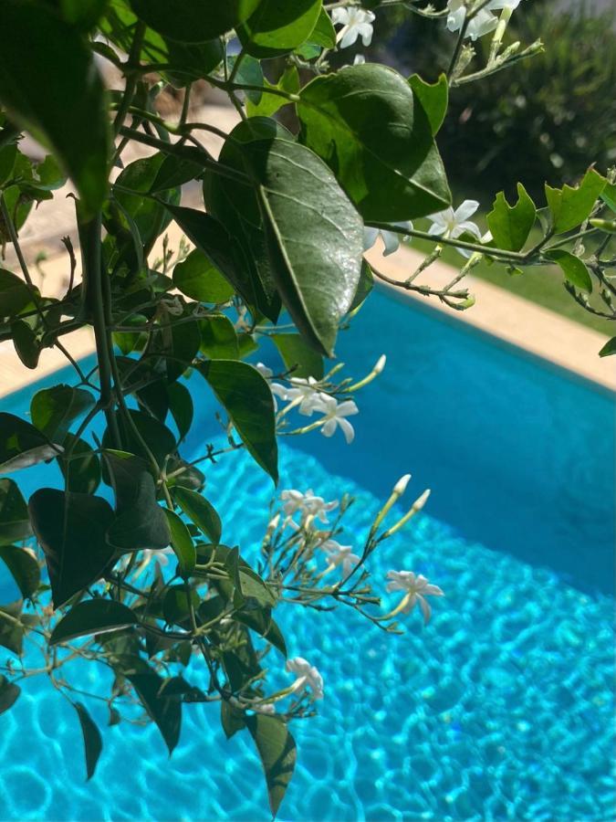 Beautiful Villa With Pool, Barbecue, And Garden Jávea Exterior foto